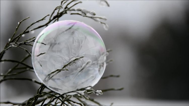 Bubble turning into ice