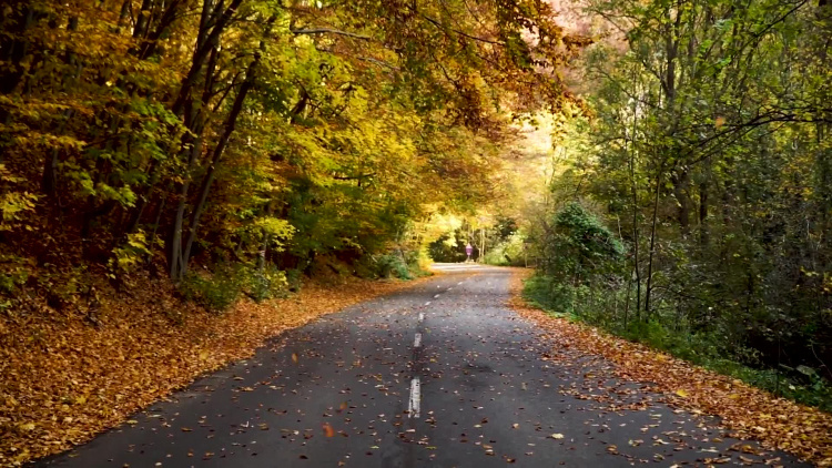 Fall